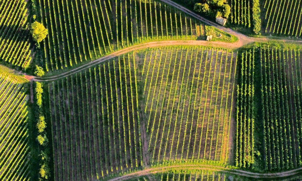 do train tracks have dangerous meta2